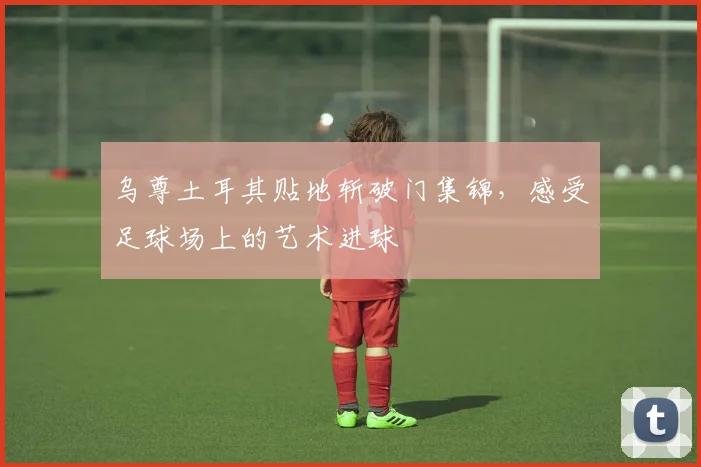 乌尊土耳其贴地斩破门集锦，感受足球场上的艺术进球