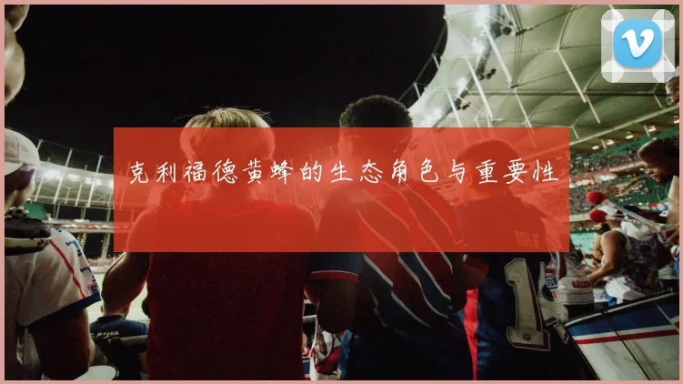 克利福德黄蜂的生态角色与重要性